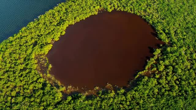 Aerial view Wetlands Southern Florida