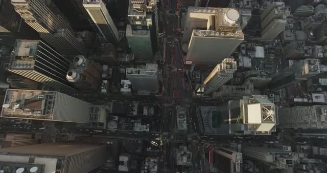 Straight down view, park with buildings