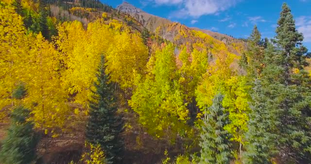 Fall Foliage #1 - San Juan Mountains