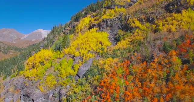 Fall Foliage #5 - San Juan Mountains