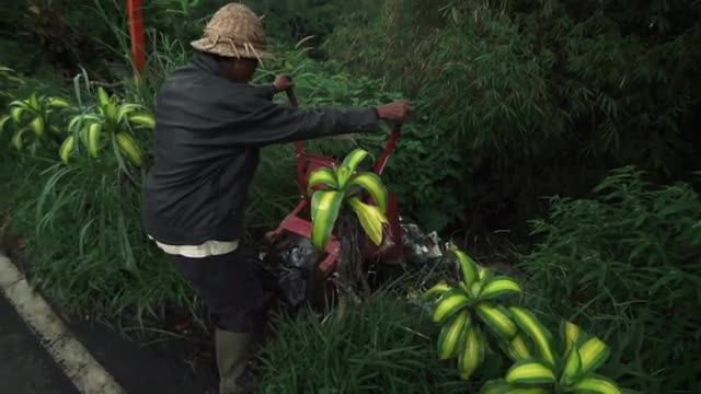 Man Throws Trash Into Ditch