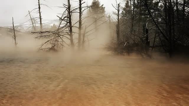 mamoth_spring_yellowstone 2.mov