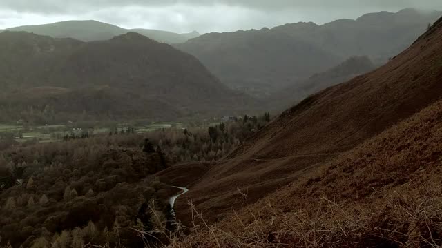 Brandelhow Park Landscape