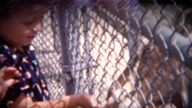 1954: Identically matching shirts on young boys feeding goats at the kids zoo. CHICAGO