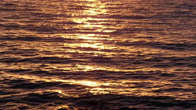 Golden Sea Waters at Sunrise Golden Sea Waters at Sunrise