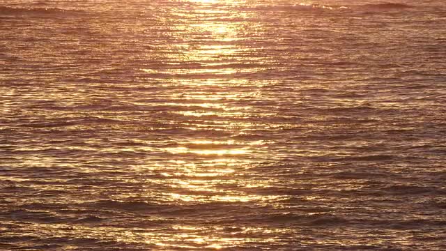 Golden Waving Sea Waters at Sunrise Golden Waving Sea Waters at Sunrise