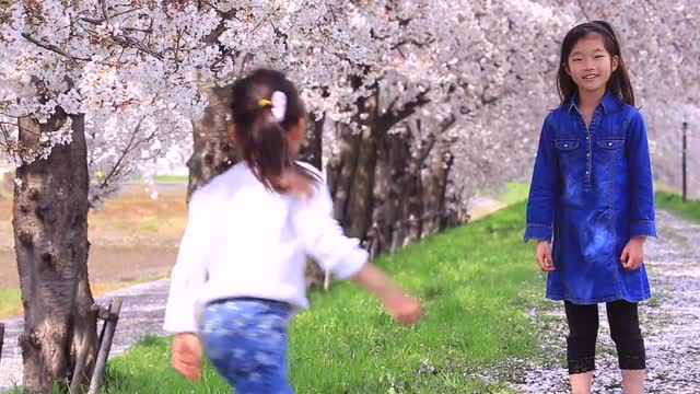 Smiling sisters and cherry blossoms