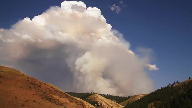 forest fire plum timelapse