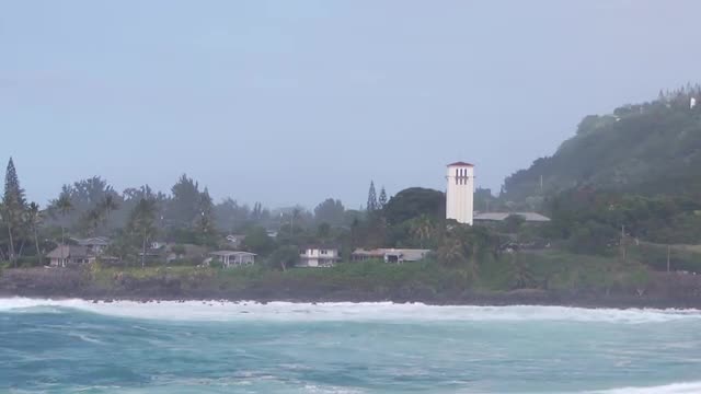 Waimea Bay Senics 2016_1