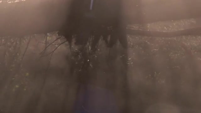 Slow Motion Logging - Picking Up Trees
