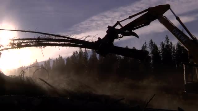 Sunset Slow Motion Logging - Machenery Moving Trees