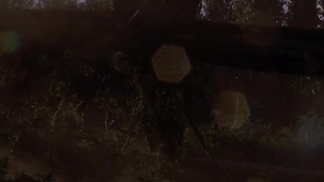 Slow Motion Logging - Machine's Moving trees.