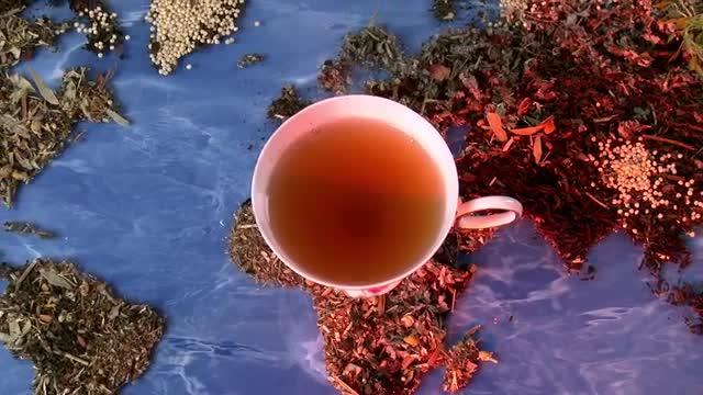 World of Tea 