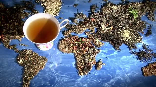 World of Tea 