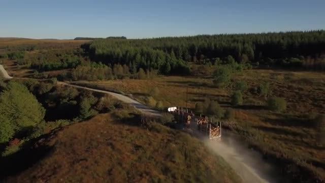 Forestry logging truck driving along road