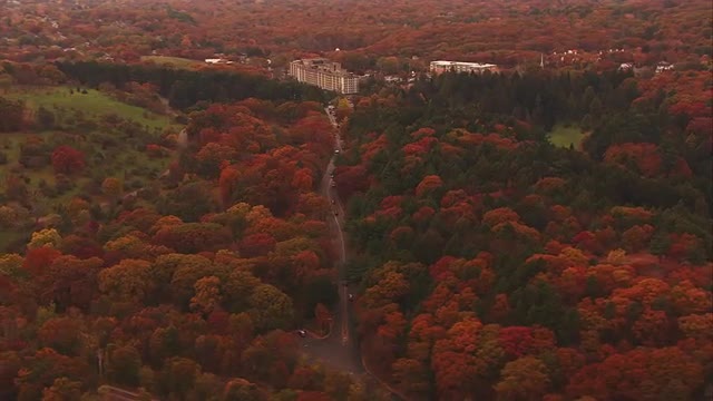 Wide shot of Highway through Autumn Trees