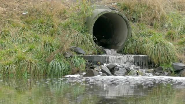 River Water Polution