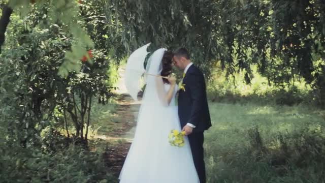 The Bride And Groom in The Park. Wedding day.