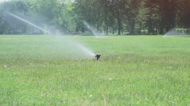 watering the grass on a golf course