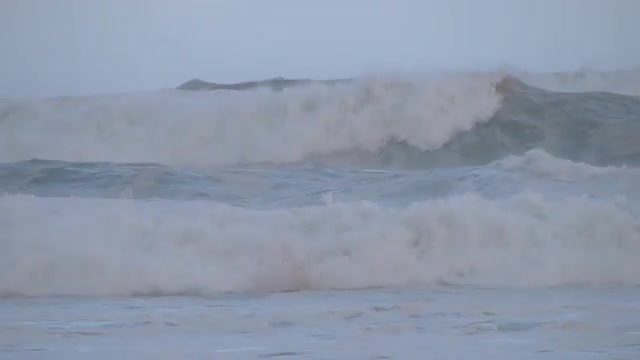 Ali'i Beach Park_3_Big Monday 22nd Feb 2016