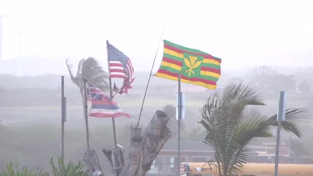 Ali'i Beach Park_5_Big Monday 22nd Feb 2016