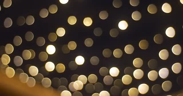 Blurred Lights of Garlands on a Fir-Trees Light Balls Net Square of City is Illuminated Sofia Square