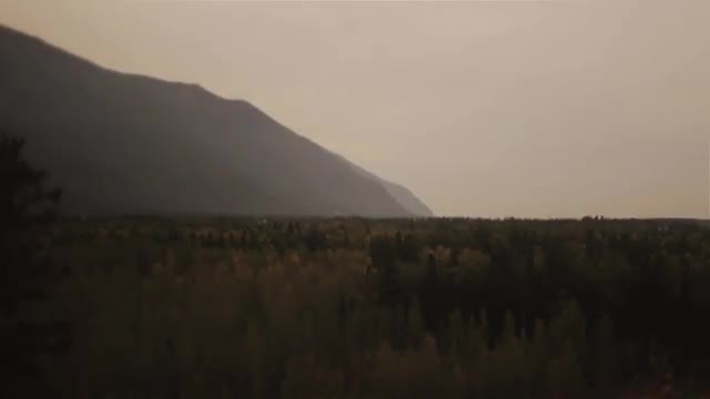Mountain and Forest Landscape