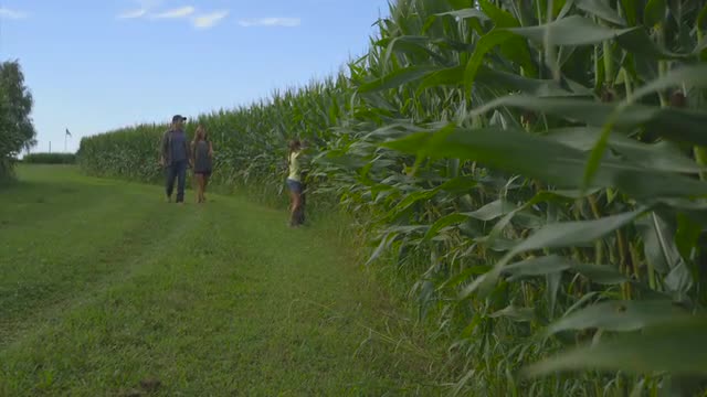 Caucasian family walking in crop field
