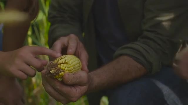 Caucasian father and children examining crops