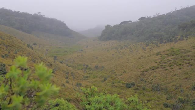 Horton Plains National Park, Sri Lanka