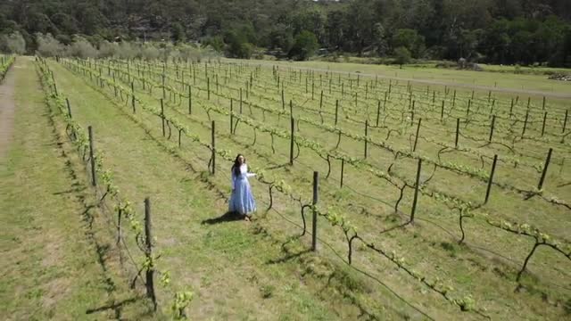 Lady walking through the Vineyard
