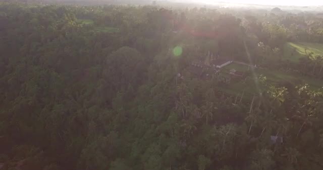 Drone Aerial footage of an Indonesian Temple near a rice field.