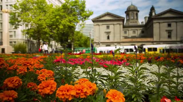 Portland Festival of Flowers Display in Pioneer Square Motion Control Time-lapse