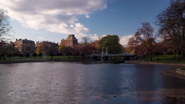 Lake At Boston Public Garden
