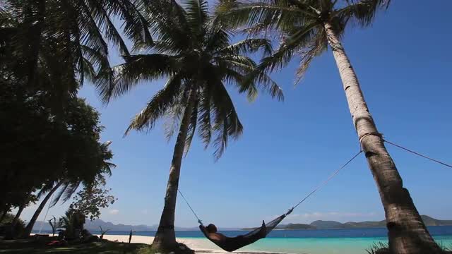 Hammock on beautiful beach.