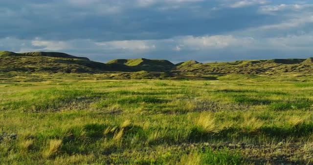 Movi dolly shot of green grasslands 4