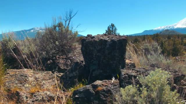 Mount Shasta - 1