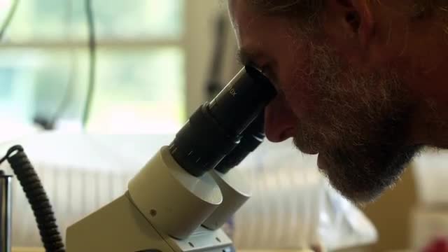 Man Looking Through Microscope