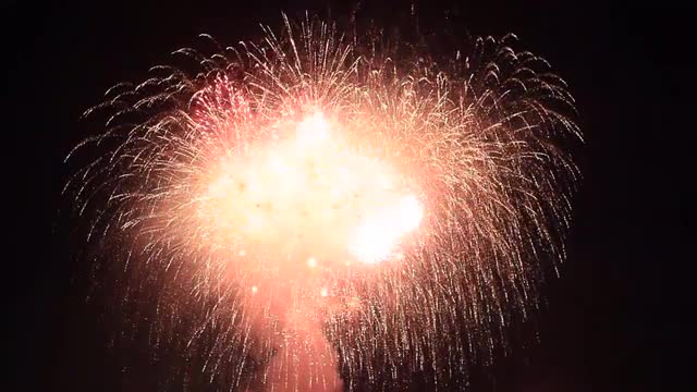 Fireworks in the night sky, Tokyo, Japan