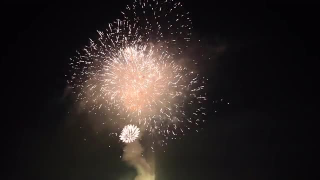 Fireworks in the night sky, Tokyo, Japan