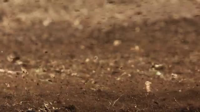 Dirt flying on motocross course