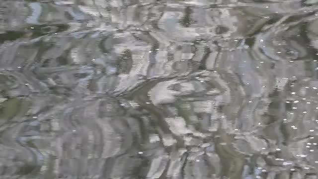 Reflections on water at Inokashira Park, Tokyo, Japan