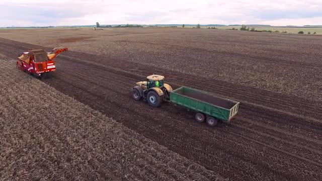 Flight over Potato fieldBeautiful Aerial view of Tractor works on the field 