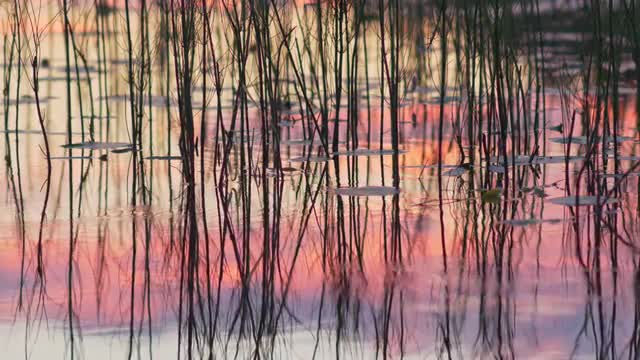 Sunset reflection on a lake