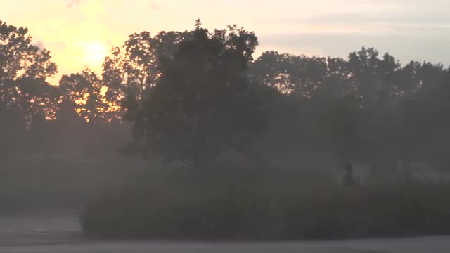 Sunset pan over pavement and misty trees