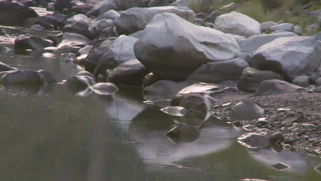 Static view of rocky river bed in India