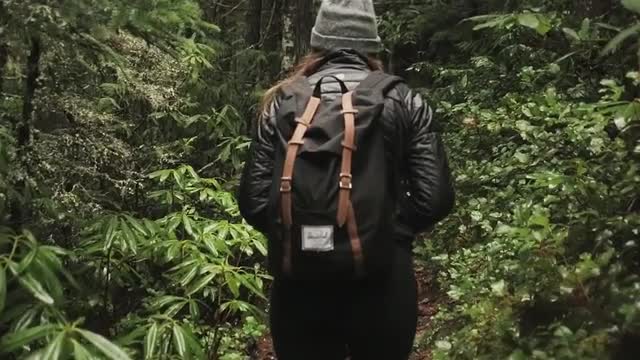 Girl Walking through Forest