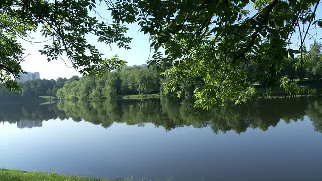 Pond and Spring Branch