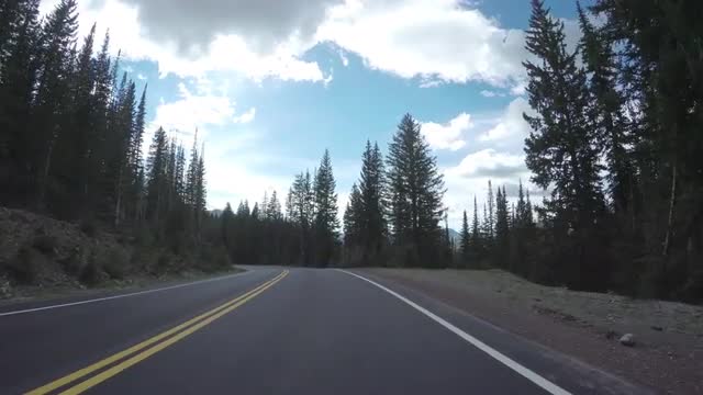 4K Gopro Car Footage Of Mountain Pass, Drive Through Pine Trees