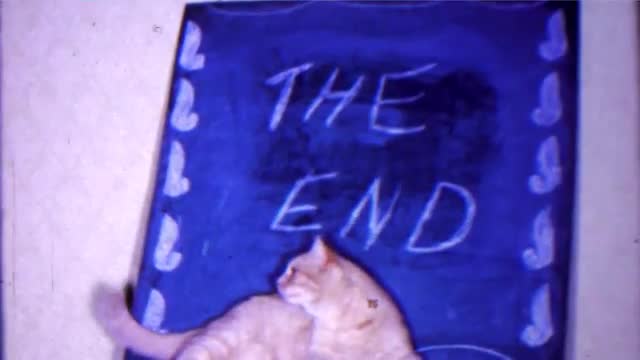 1966: Cat models a homemade The End sign written on black chalkboard. 1966: Cat models a homemade The End sign written on black chalkboard.